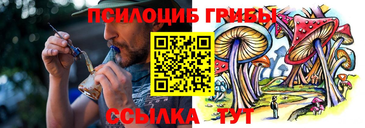 Мытищи  Галлюциногенные грибы Psilocybe  Вход с VPN 